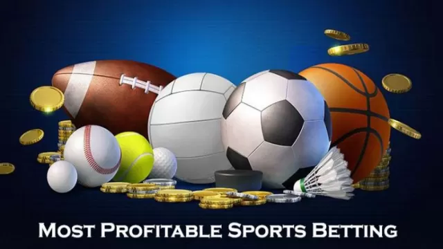 The Best Leagues for the Most Profitable