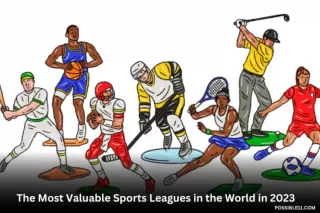 The Most Valuable Sports Leagues in