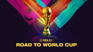 The Road to the World Cup: