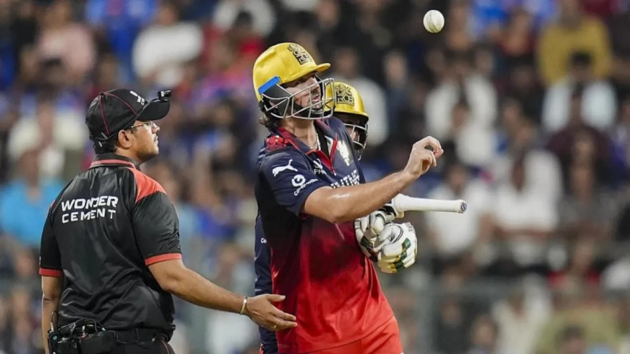 tim david ipl