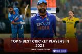 Top 5 Best Cricket