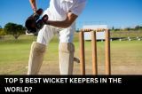 Top 5 Best Wicket