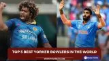Top 5 best yorker