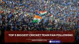 Top 5 Biggest Cricket
