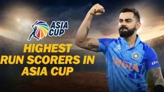 Top 5 highest run scorers in