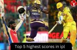 Top 5 highest scores