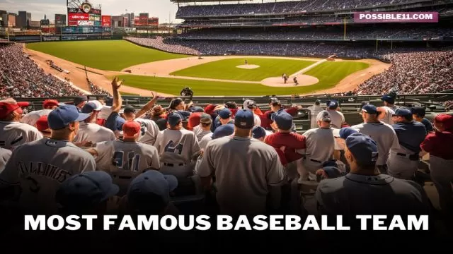 Top 5 Most Famous Baseball Teams in