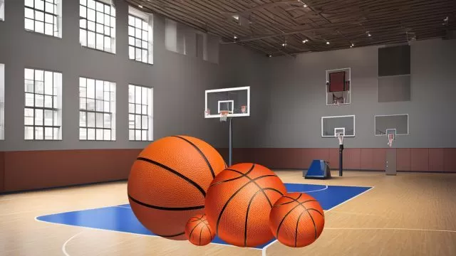 Top 5 Richest Basketball Players in the
