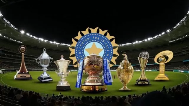 Top Cricket Tournaments in India That Fans