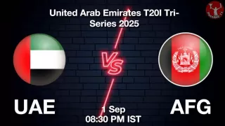 UAE vs AFG 3rd T20I: Pitch