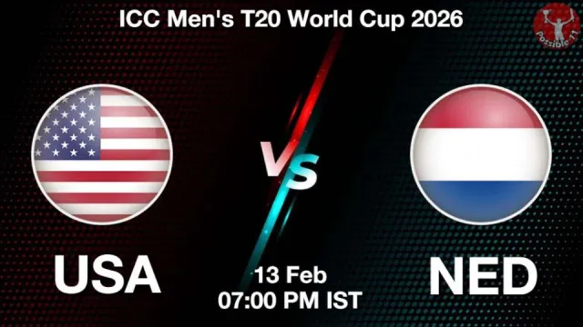 USA vs NED World Cup 2026, Pitch