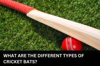 What are The Different Types of