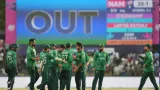 What Happens if PAK