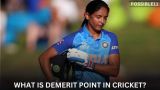 What is Demerit point