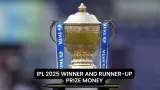 What is the prize