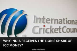 Why India receives the lions share