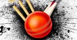 Why Reasons Cricket is