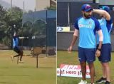 Will Jasprit Bumrah be
