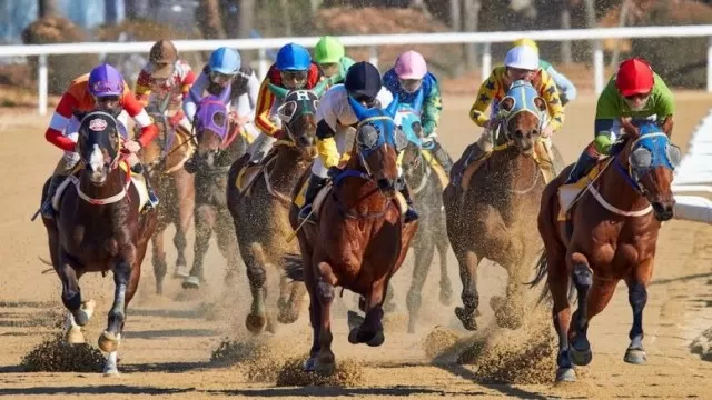Women in Horse Racing and Making History