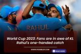 World Cup 2023: Fans
