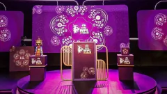 WPL 2027 Auction: Date, Time, Picture