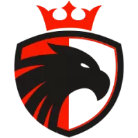 Dc United Team Flag