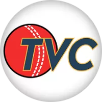 Tartu Vikings Team Flag
