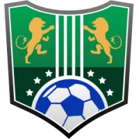 Hokkaido Consadole Sapporo Team Flag