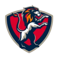 Jiangsu Suning Team Flag