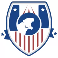 Shenzhen Shenhua Team Flag