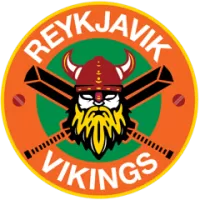 Reykjavik Vikings Team Flag