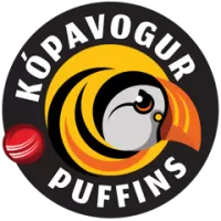 Kopavogur Puffins Team Flag