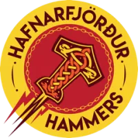 Hfj Team Flag