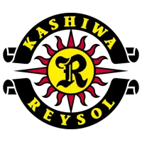 Kashiwa Reysol Team Flag