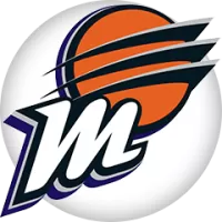 Phoenix Mercury Team Flag