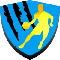 Trx Team Flag