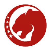 Lille Flag