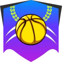 Zastal Zielona Gra Team Flag