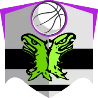 Rosa Radom Team Flag