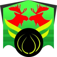 Anwil Wocawek Team Flag