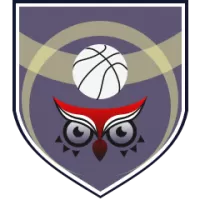Dinamo Sassari Team Flag
