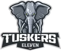 Tuskers Xi Team Flag