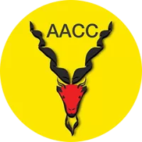Alvalade Cc Alv Team Flag