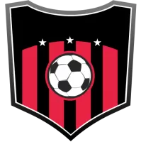 Shimizu S Pulse Team Flag