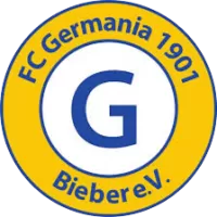 Fgb Team Flag