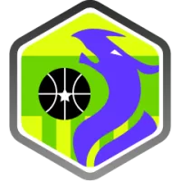 Unics Kazan Team Flag