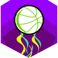 Krka Team Flag