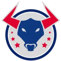 Fc Dallas Team Flag
