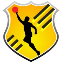 Tsmoki Minsk Team Flag