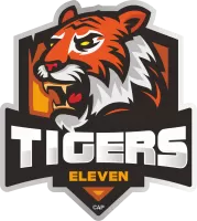 Tigers Xi Team Flag